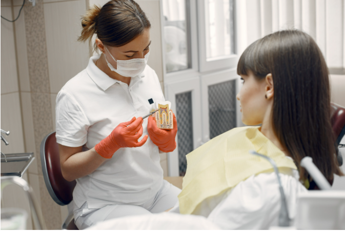dentist explaining root canal treatment using a tooth model to a patient